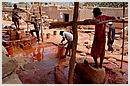 DCN_20051130_134953.jpg