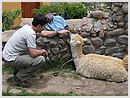 DCN_20051202_110849.jpg