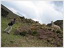 DCN_20051206_164616.jpg
