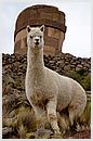 DCN_20051206_164619.jpg