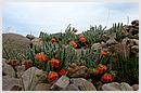 DCN_20051207_172337.jpg