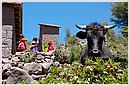 DCN_20051208_101144.jpg
