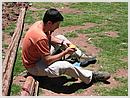 DCN_20051208_113124.jpg