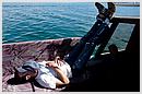 DCN_20051208_142647.jpg