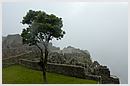DCN_20051213_064952.jpg