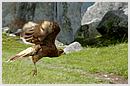 DCN_20051213_095647.jpg