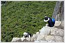 DCN_20051213_113036.jpg